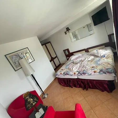 Pensiunea Coquette * קוסטינסטי