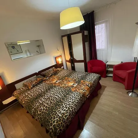 Casa de hóspedes Pensiunea Coquette *